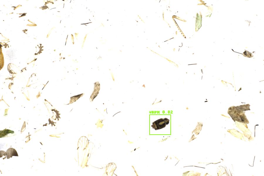 Image 80